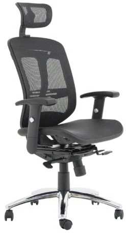 Carinosa II Mesh Office Chair