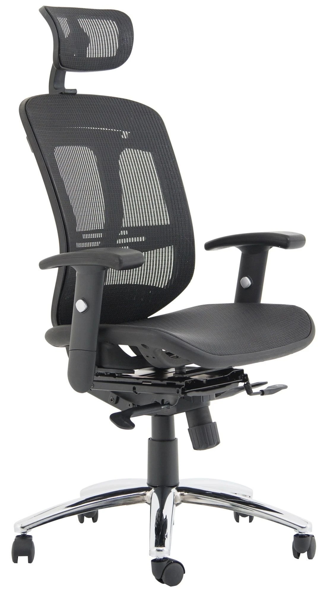 Carinosa II Mesh Office Chair