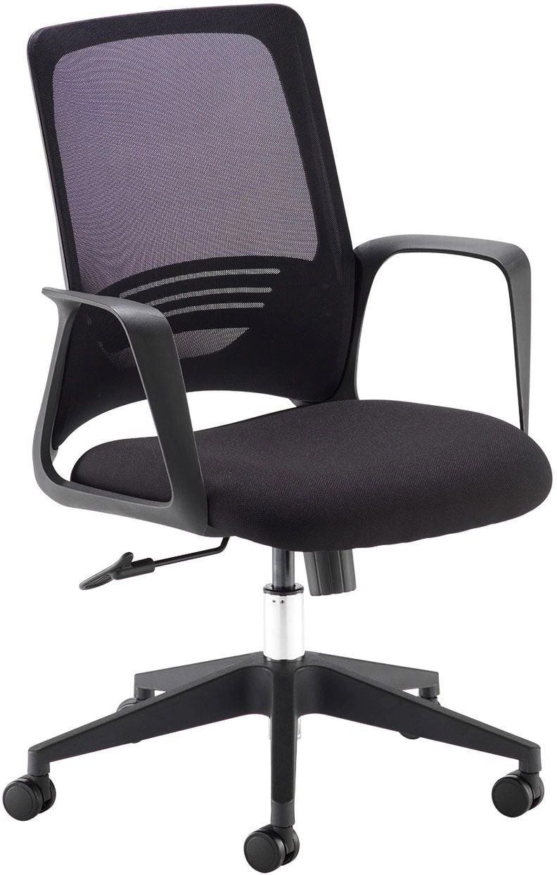 Raven Mesh Office Chair