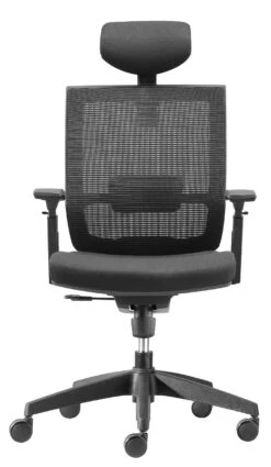 Capri Deluxe Mesh Office Chair With Headrest