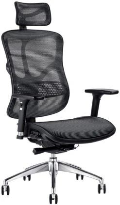F94 All Mesh Office Chair With Headrest