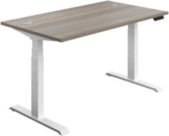 NEXT DAY Commerce II Height Adjustable Rectangular Sit-Stand Desks